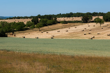 Fototapeta na wymiar Paysage de campagne