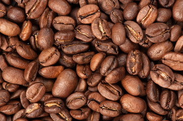 roasted coffee beans