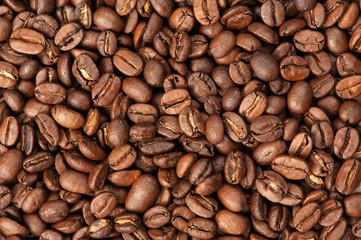 roasted coffee beans
