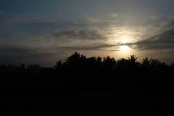 Sunset over Bali, Indonesia with trees in foreground