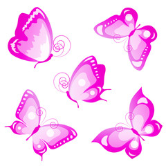 butterflies design