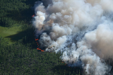 Fototapeta na wymiar Forest in fire, top view