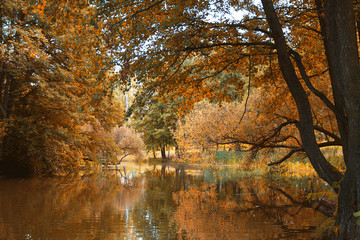 autumn park