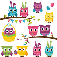 Fototapeta premium Vector Collection of Easter and Spring Themed Owls 
