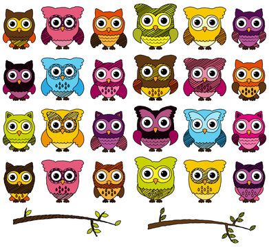 Doodle Style Vector Set of Cute Owls and Branches 