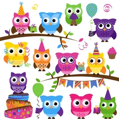Fotobehang Vector Collection of Party or Celebration Themed Owls  © pinkpueblo