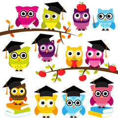 Vector Collection of School or Graduation Themed Owls 