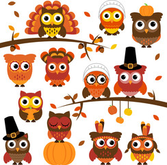 Thanksgiving and Autumn Themed Vector Owl Collection with Branch - 67292468