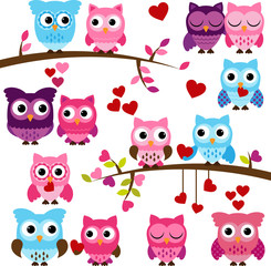 Vector Set of Wedding Themed Owls and Branches 