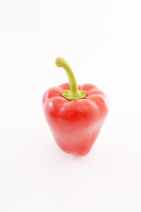新鮮な野菜