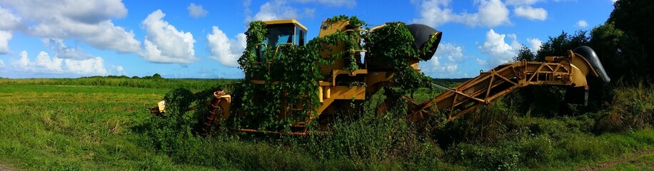 La nature reprend ses droits