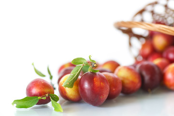 Naklejka na ściany i meble cherry-plum