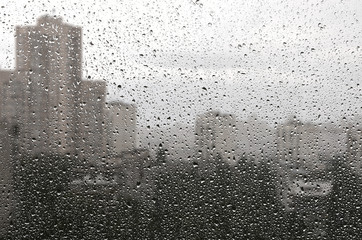 Rainy window