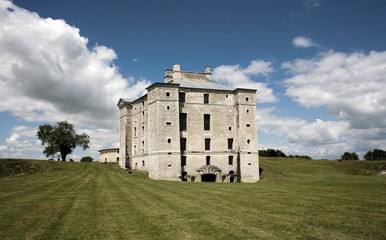 Château de Maulnes : façade, arbre et communs