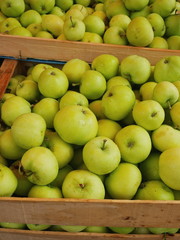 apple box market