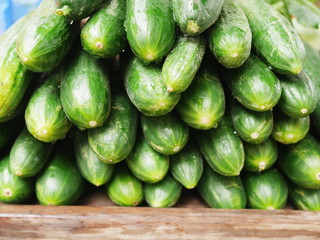 cucumber market organic