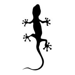 gecko in black silhouette vector illustration