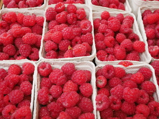 raspberry market organic