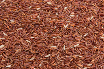 Brown Rice close-up