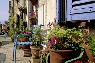 Fototapeta na wymiar SAINT-CEZAIRE-SUR-SIAGNE ( 06 Alpes Maritimes ), Rue fleurie du