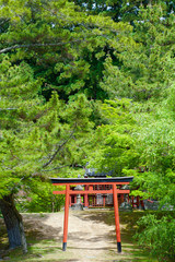 Shrine Symbol, Red torii pole among forest trees by water, Japan