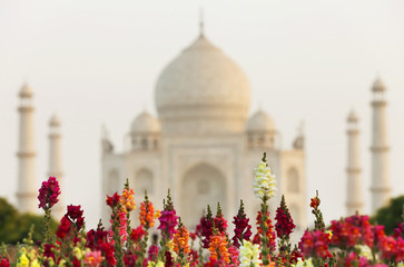 Taj Mahal in sunset light, Agra, Uttar Pradesh, India