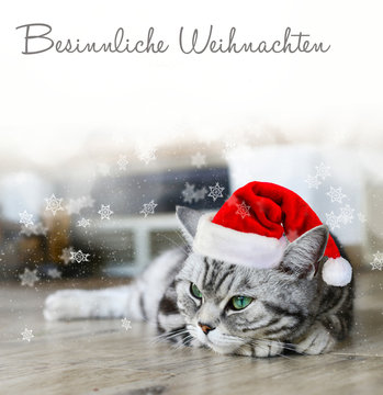 Besinnliche Weihnachten