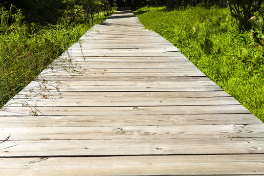 Wooden Boardwalk