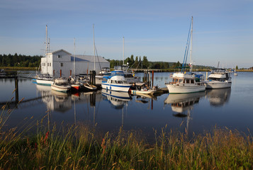 Nicomekl River Marina Morning