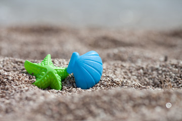 Fototapeta na wymiar Children's beach toys - sea shell and sea star on sand on a sunn