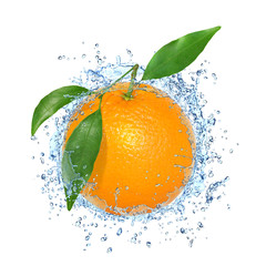 Obst 656