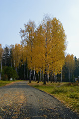 Картина на осенний мотив