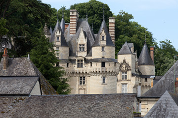 Fototapeta na wymiar Castel of Rigny-Usse . Loire Valley, France
