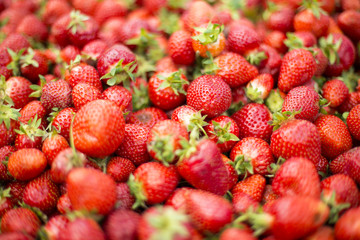 Fresh strawberries on the market
