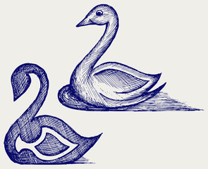 Swan sign. Doodle style