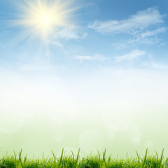 Obraz premium green nature background at summer