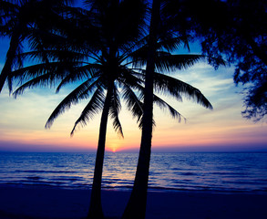 beach in sunset time.  palm trees silhouette on sunset tropical