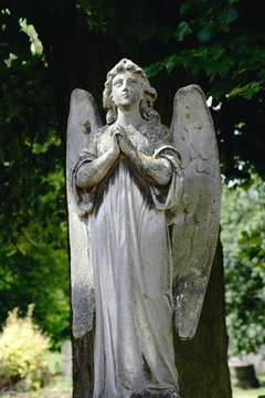 stone statue of woman angel with wings in cemetery	
