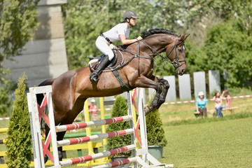 horse jumping