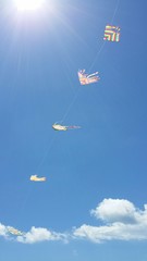 kites in a blue sky