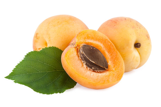 apricots with leaf and fruit core