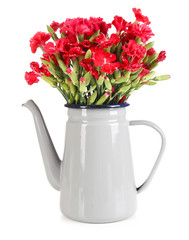 Flowers in flowerpot isolated on white