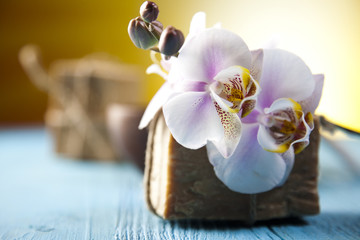 Fototapeta na wymiar Orchids,organic products, Spa 