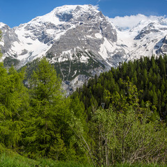 Obraz premium Strada del Passo dello Stelvio, Zuid-Tirol