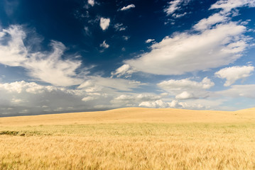 Tuscan landscape, Italy.