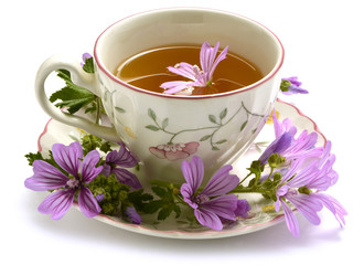 Malva sylvestris Erdei mályva Mallow Мальва лесная Grande mauve