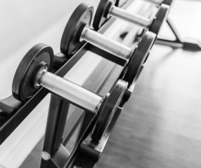 Fototapeta premium Gym equipment