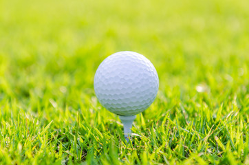 Golf ball on green grass