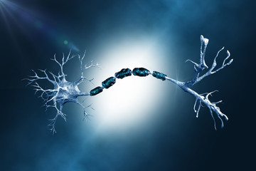 neuron digital illustration