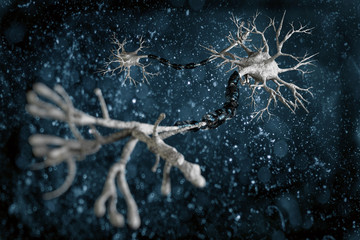 digital illustration neurons